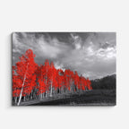 cuadro canvas bosques y naturaleza bosque rojo alineado blanco negro horizontal