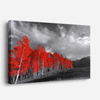cuadro canvas bosques y naturaleza bosque rojo alineado blanco negro horizontal