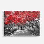 cuadro canvas bosques y naturaleza túnel rojo paseo blanco negro horizontal