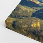 cuadro canvas bosques y naturaleza lago cristalino piedras verdes vertical