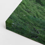 cuadro canvas bosques y naturaleza bosque de pinos oscuro misterioso vertical