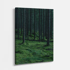 cuadro canvas bosques y naturaleza bosque de pinos oscuro misterioso vertical