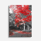 cuadro canvas bosques y naturaleza árbol rojo bosque blanco negro vertical