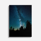 cuadro canvas cielo y noche vía láctea bosque nocturno vertical
