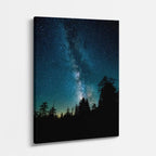 cuadro canvas cielo y noche vía láctea bosque nocturno vertical
