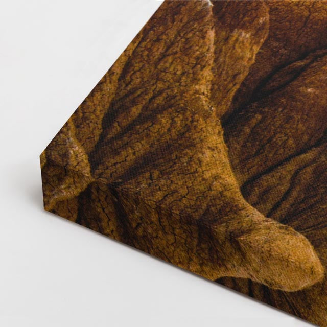 cuadro canvas desierto formaciones rocosas áridas horizontal