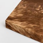 cuadro canvas desierto camellos dunas luz dorada horizontal