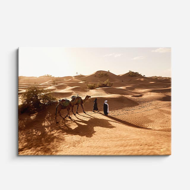 cuadro canvas desierto camellos dunas luz dorada horizontal
