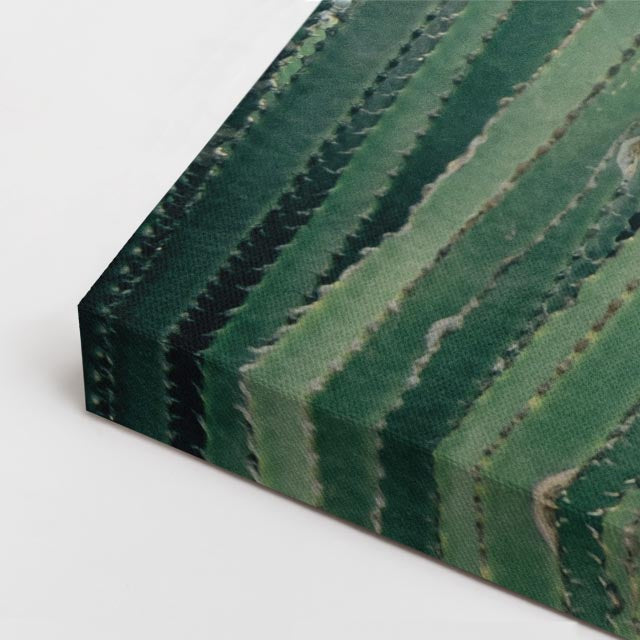 cuadro canvas desierto cactus verdes fondo oscuro horizontal