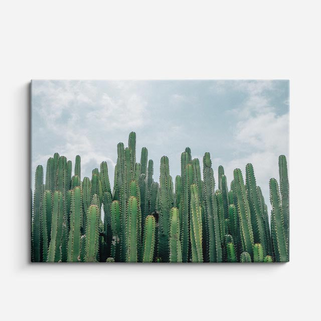 cuadro canvas desierto cactus verdes fondo oscuro horizontal