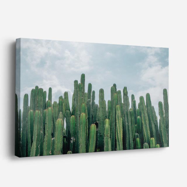 cuadro canvas desierto cactus verdes fondo oscuro horizontal
