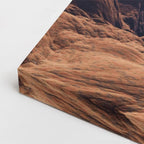 cuadro canvas desierto planta solitaria desierto nublado horizontal