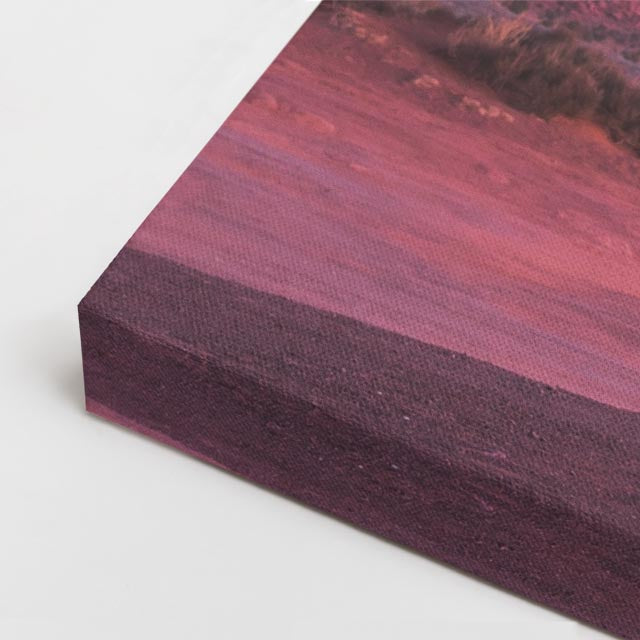 cuadro canvas desierto árbol seco monument valley morado horizontal