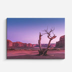 cuadro canvas desierto árbol seco monument valley morado horizontal