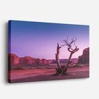 cuadro canvas desierto árbol seco monument valley morado horizontal