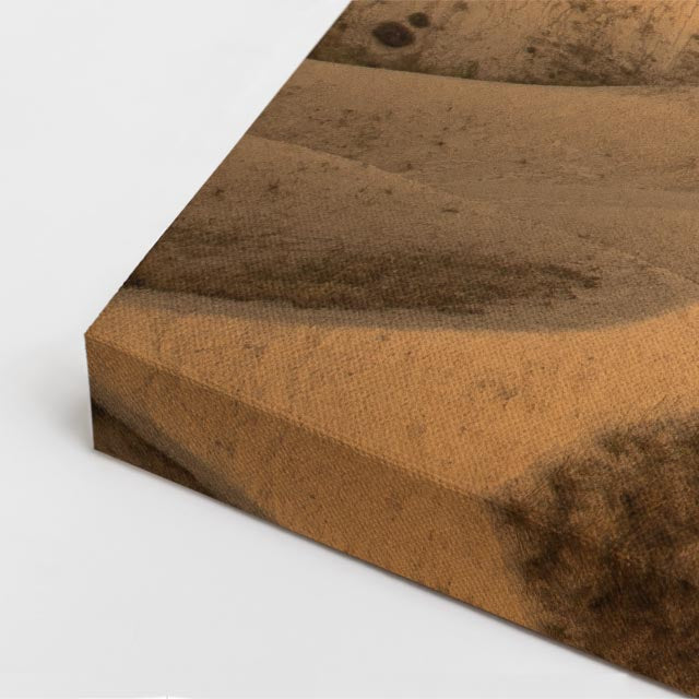 cuadro canvas desierto globo aerostático duna dorada vertical