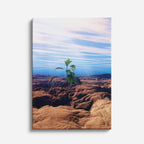 cuadro canvas desierto planta solitaria desierto rocoso vertical