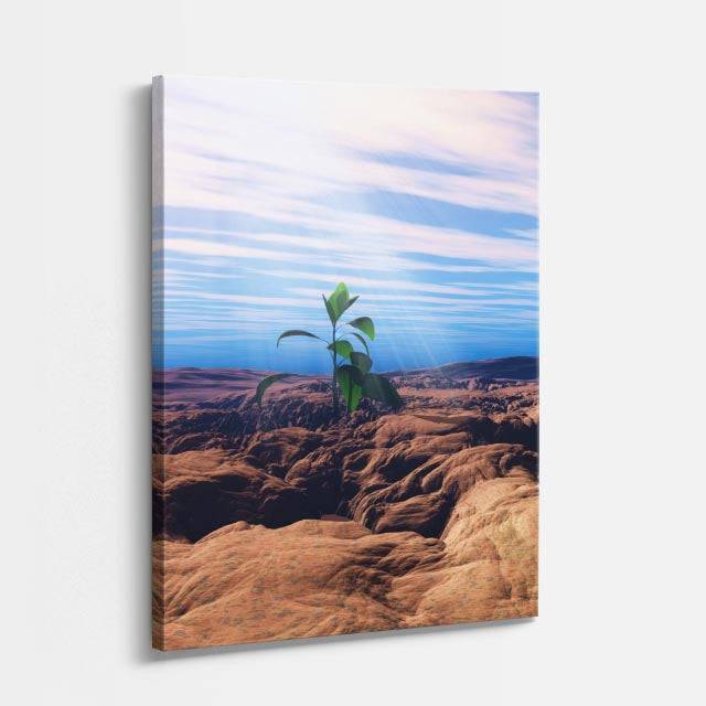 cuadro canvas desierto planta solitaria desierto rocoso vertical