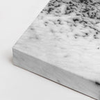 cuadro canvas montañas y nieve bosque nevado blanco y negro horizontal