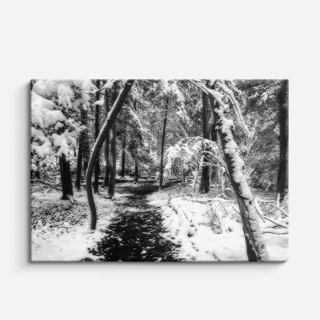 cuadro canvas montañas y nieve bosque nevado blanco y negro horizontal