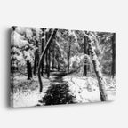 cuadro canvas montañas y nieve bosque nevado blanco y negro horizontal