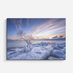 cuadro canvas montañas y nieve árbol nevado atardecer dramático horizontal