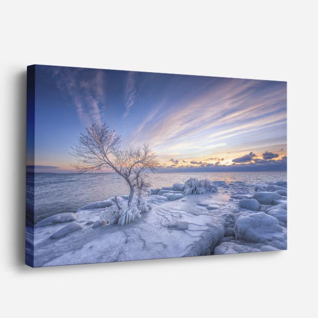 cuadro canvas montañas y nieve árbol nevado atardecer dramático horizontal