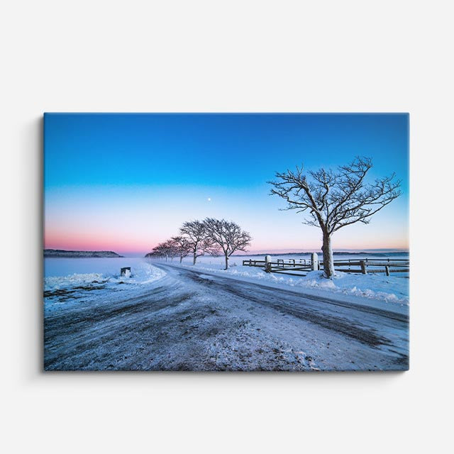 cuadro canvas montañas y nieve árbol solitario carretera nevada horizontal