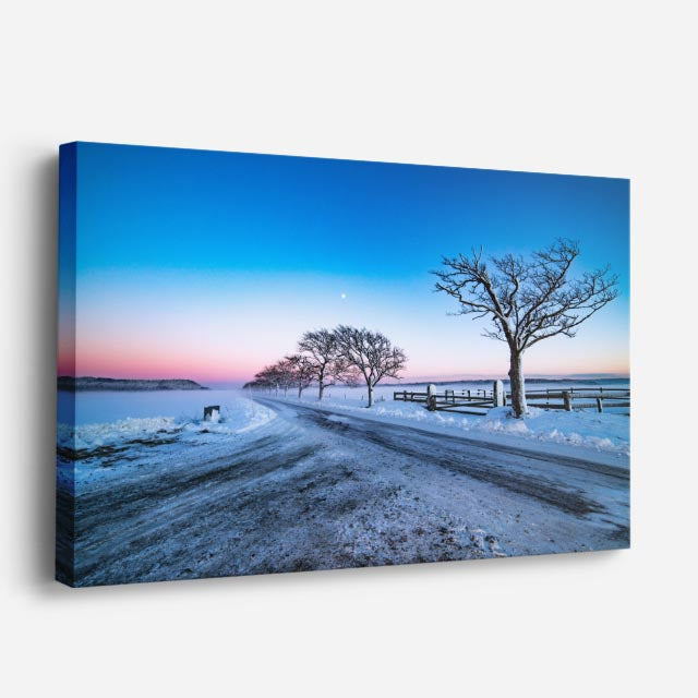 cuadro canvas montañas y nieve árbol solitario carretera nevada horizontal