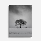 cuadro canvas montañas y nieve árbol solitario blanco y negro vertical