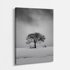 cuadro canvas montañas y nieve árbol solitario blanco y negro vertical