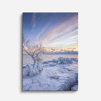 cuadro canvas montañas y nieve árbol helado atardecer suave vertical