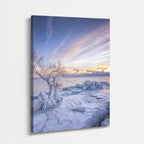 cuadro canvas montañas y nieve árbol helado atardecer suave vertical