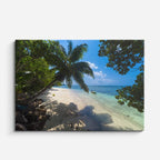 cuadro canvas mar y playa playa palmeras turquesa tropical horizontal