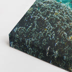 cuadro canvas mar y playa acantilados verdes mar turquesa horizontal
