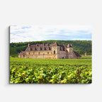 Cuadro canvas Castillo Medieval Vinedos - Arquitectura Iconica Urbano y Arquitectura - Vista Frente