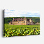 Cuadro canvas Castillo Medieval Vinedos - Arquitectura Iconica Urbano y Arquitectura - Vista Perspectiva