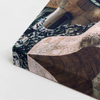 Cuadro canvas Casa Batllo Gaudi Detalle - Arquitectura Iconica Urbano y Arquitectura - Vista CloseUp