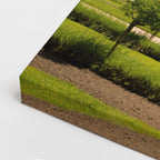 Cuadro canvas Castillo de Chenonceau Jardin - Arquitectura Iconica Urbano y Arquitectura - Vista CloseUp