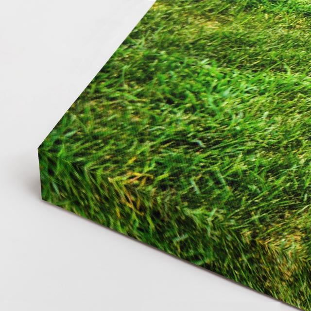 Cuadro canvas Ciudad Parques Verdes Modernos - Ciudades Urbano y Arquitectura - Vista CloseUp