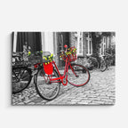 Cuadro canvas Amsterdam Bicicleta Flores Roja - Ciudades Urbano y Arquitectura - Vista Frente