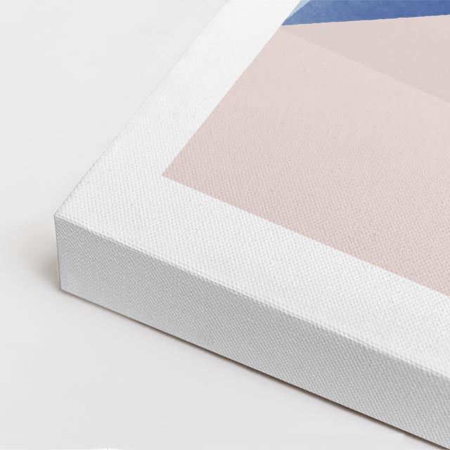 Cuadro canvas Interior Gato Salmon - Ilustraciones Arquitectonicas Urbano y Arquitectura - Vista CloseUp